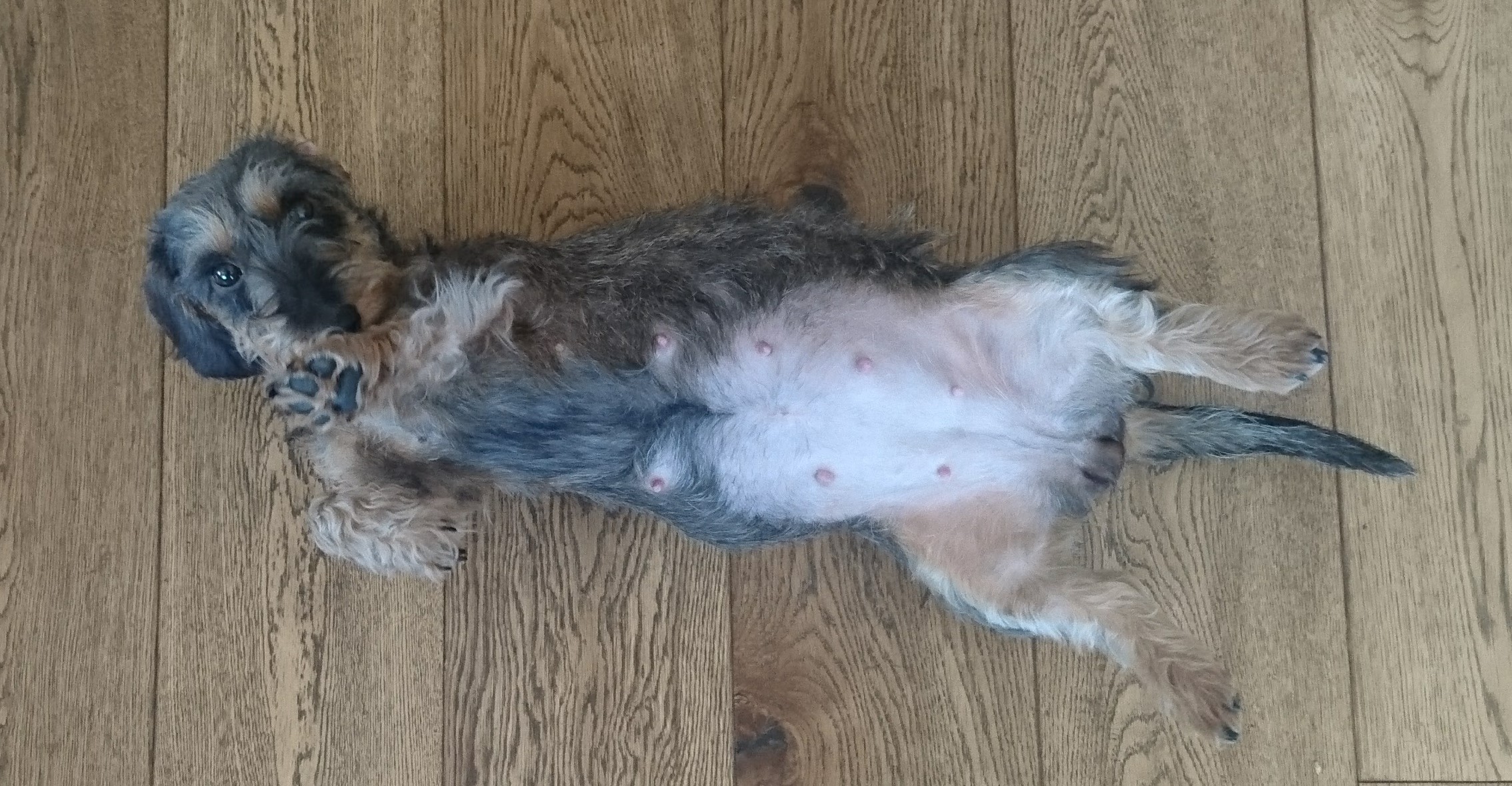 Heidi mit dickem Babybauch